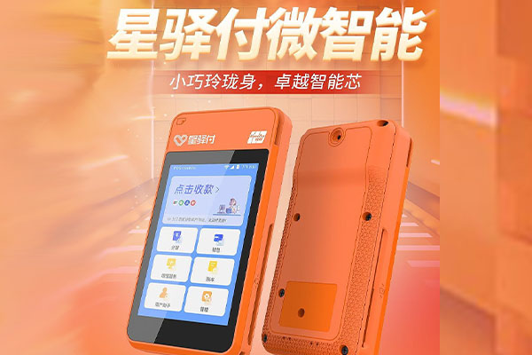 巴马国通微电签POS机